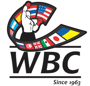 wbc-world-boxing-council-azem-kampfsport-winterthur-wil
