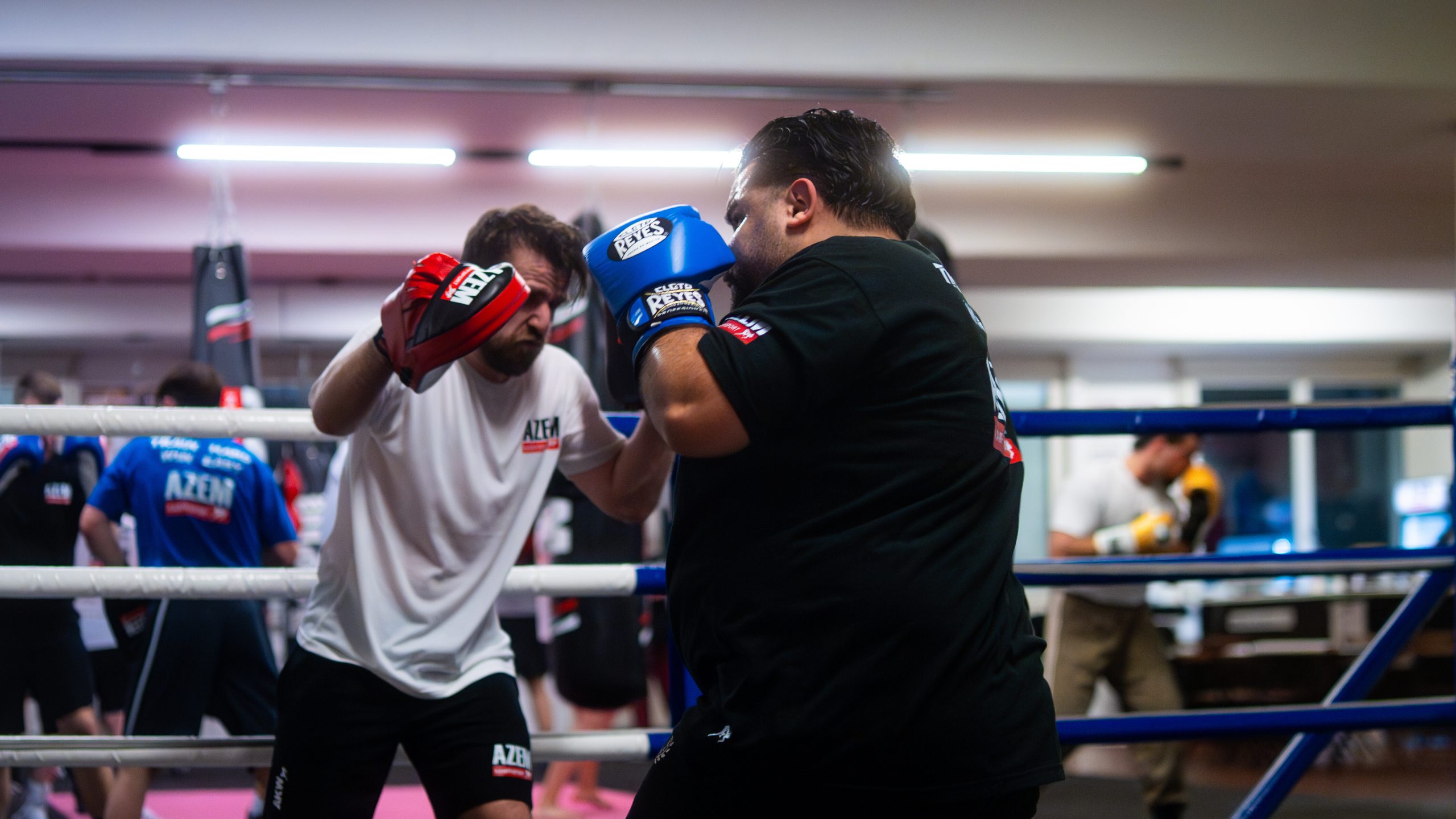 Zwei Boxer im Sparring mit roter und blauer Ausrüstung.