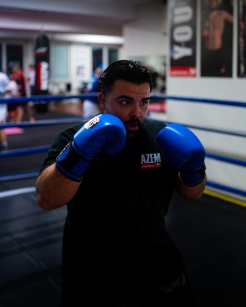 Boxer in Kampfstellung mit blauen Handschuhen im Ring.