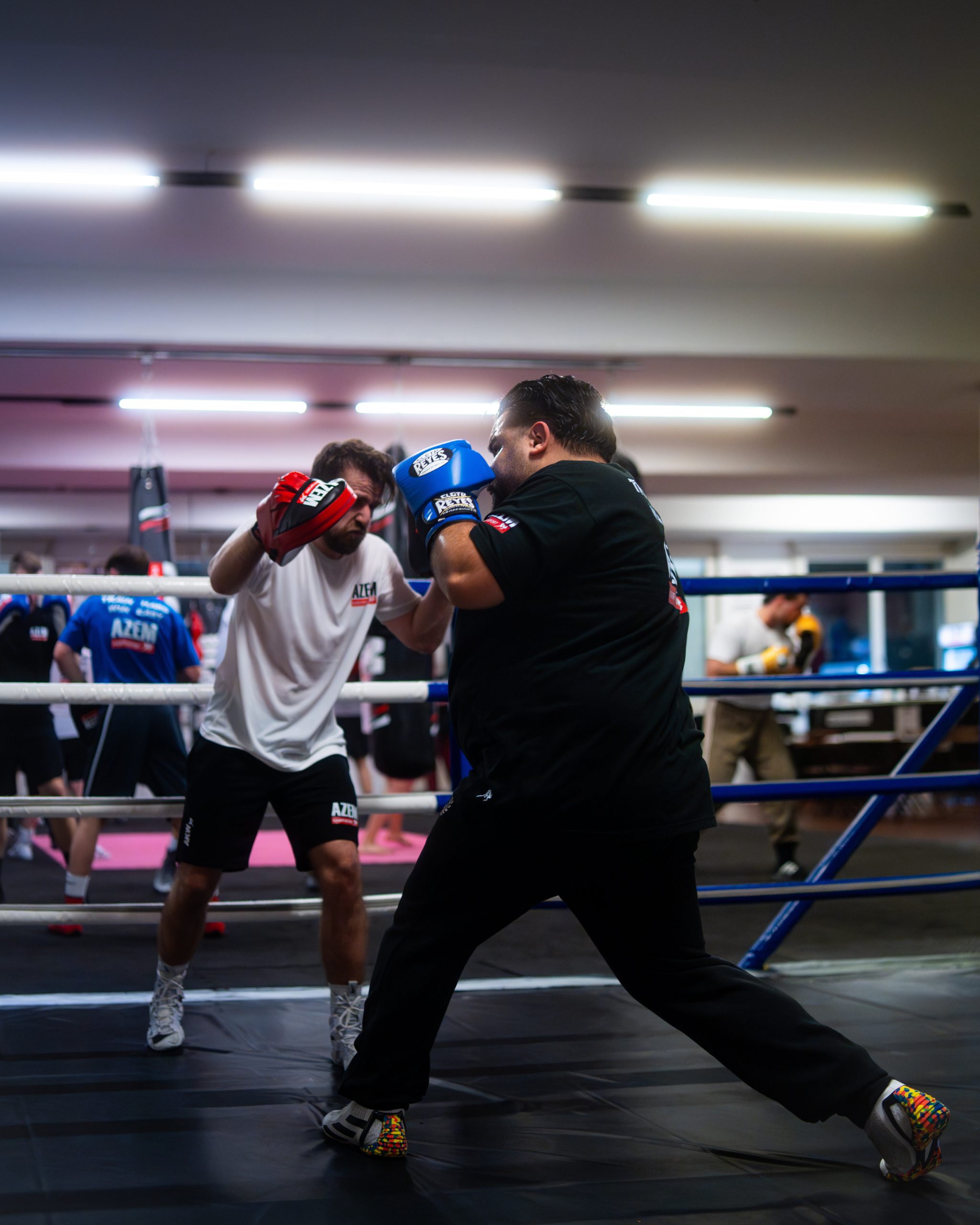 Zwei Boxer im Sparring mit roter und blauer Ausrüstung.